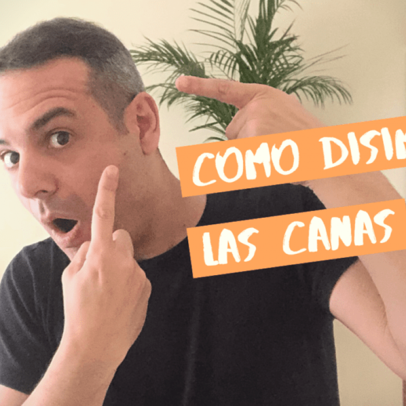 disimular_canas_noir_salon